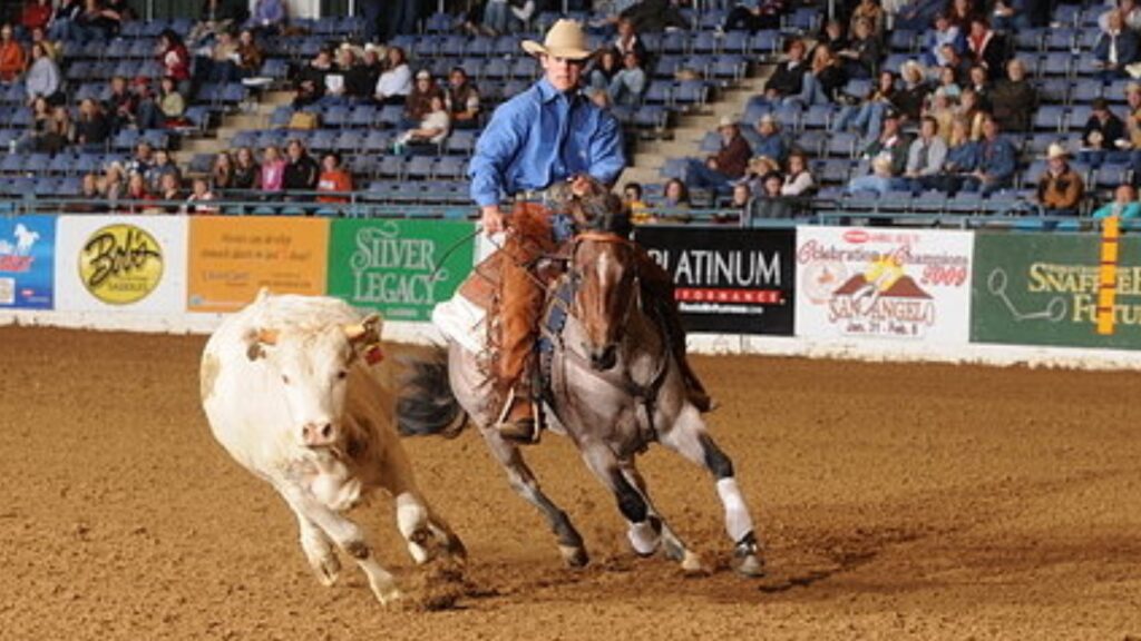 HQ Mares - HOCKENSON QUARTER HORSES